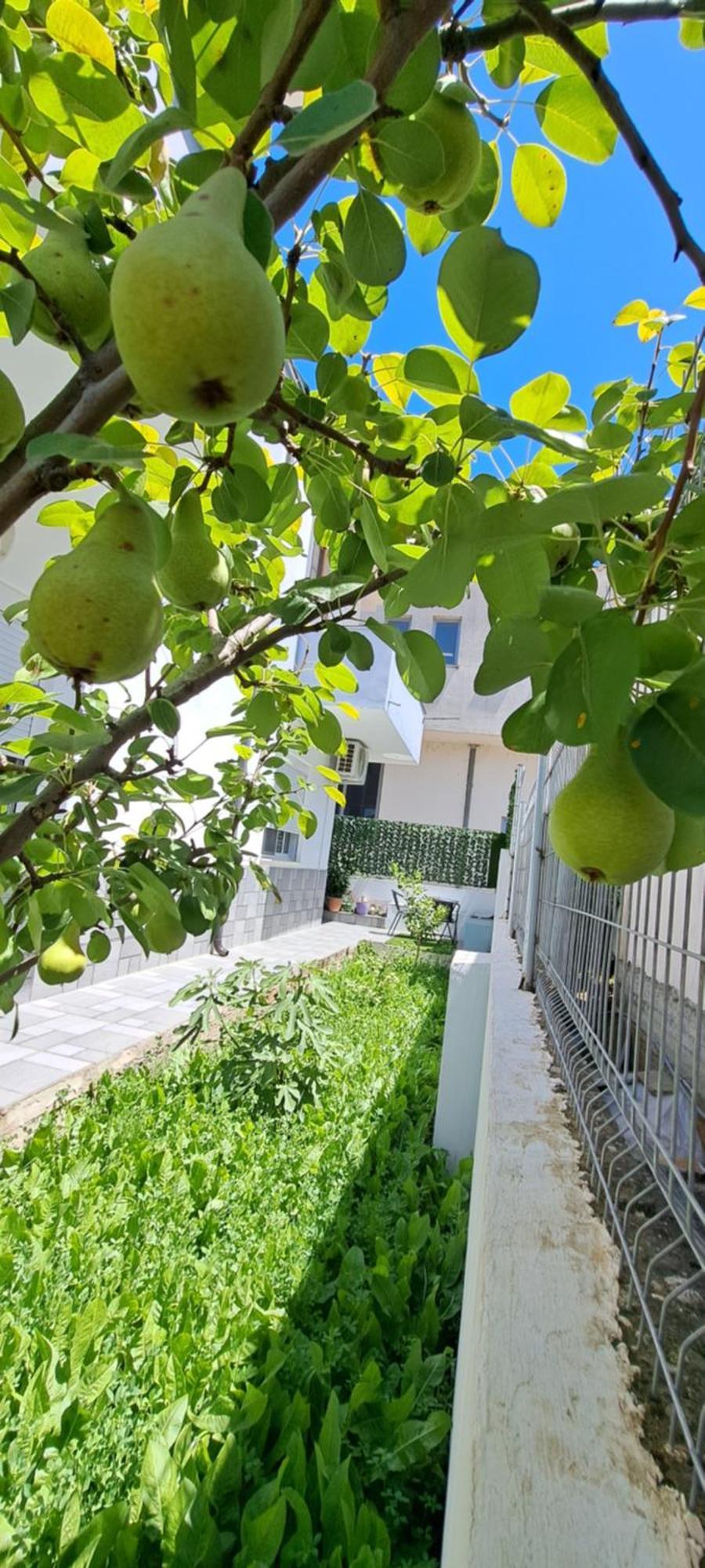 Villa Likaj Berat Oda fotoğraf
