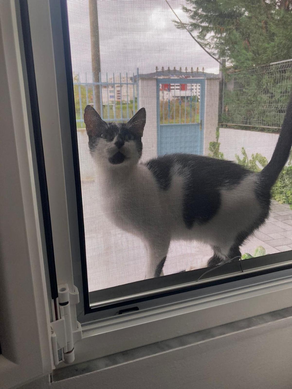 Villa Likaj Berat Dış mekan fotoğraf